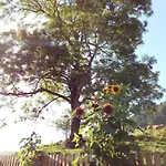 Alm-ferienhaus By Interhome *