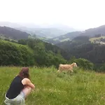 Alm-ferienhaus By Interhome 펜션