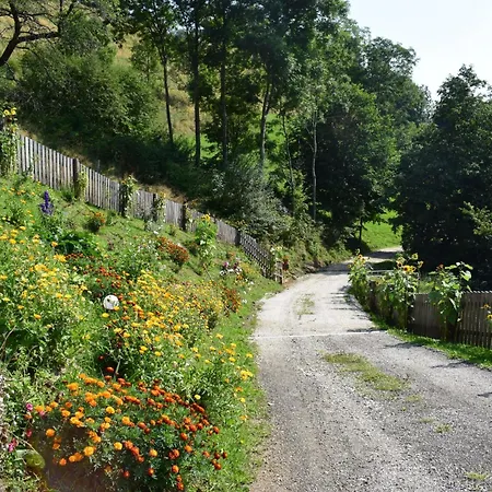 Alm-ferienhaus By Interhome