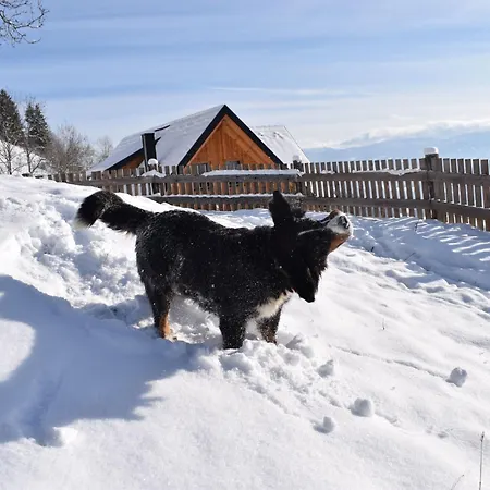 Hébergement de vacances Alm-ferienhaus By Interhome