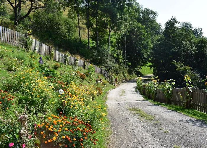 Alm-ferienhaus By Interhome