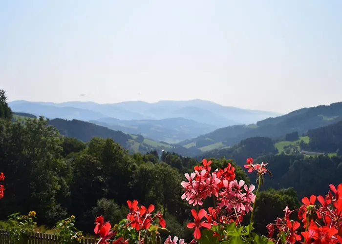 Alm-ferienhaus By Interhome Tatil Evi *