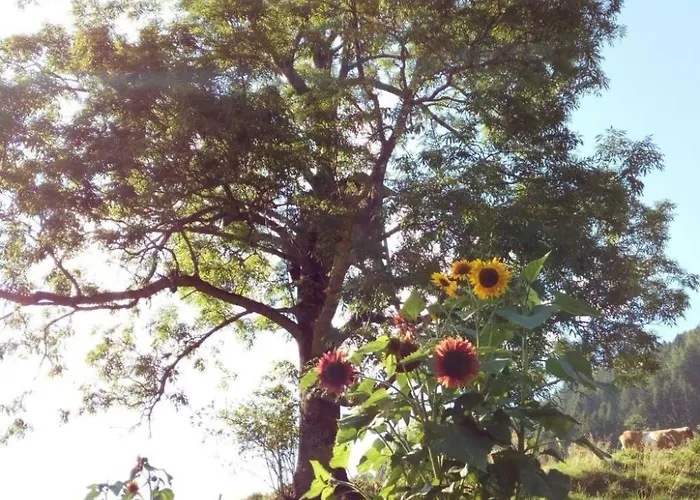 Alm-ferienhaus By Interhome *