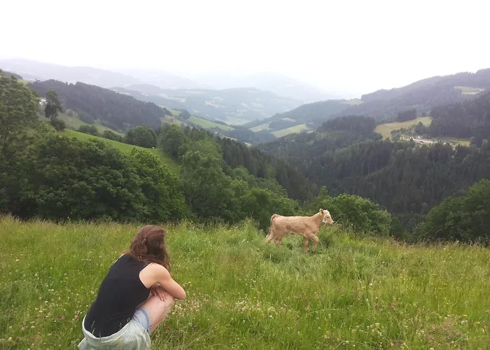 Alm-ferienhaus By Interhome Tatil Evi