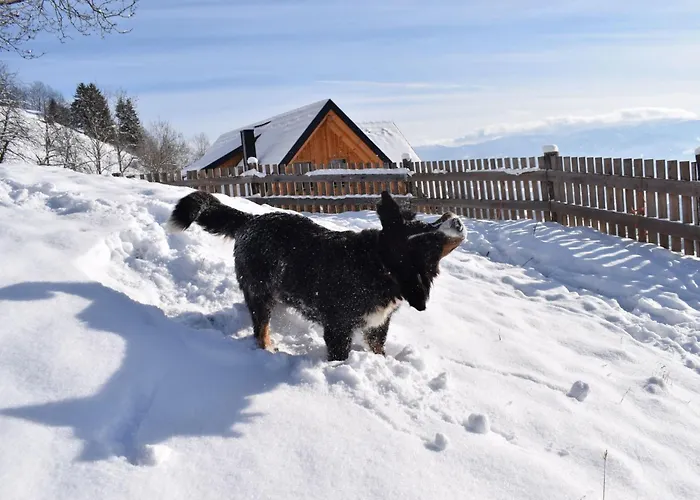 Tatil Evi Alm-ferienhaus By Interhome