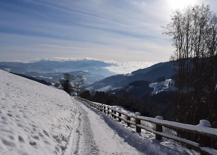 Alm-ferienhaus By Interhome Tatil Evi